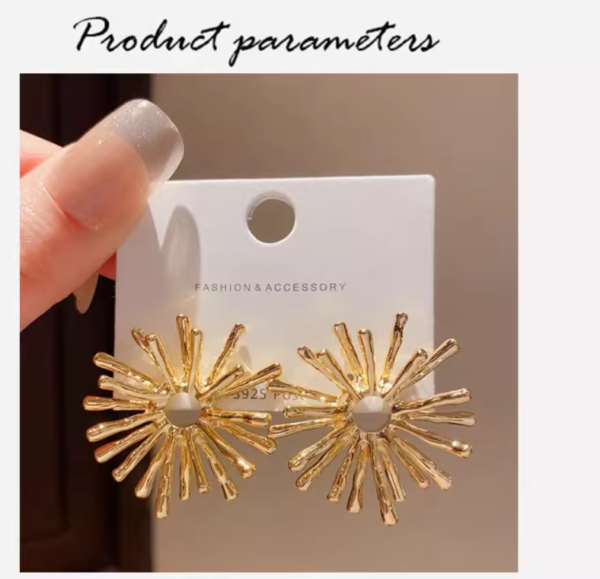 European and American metal cold wind earrings #FEA 8